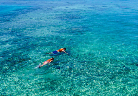 Private Snorkel Tours Cancun